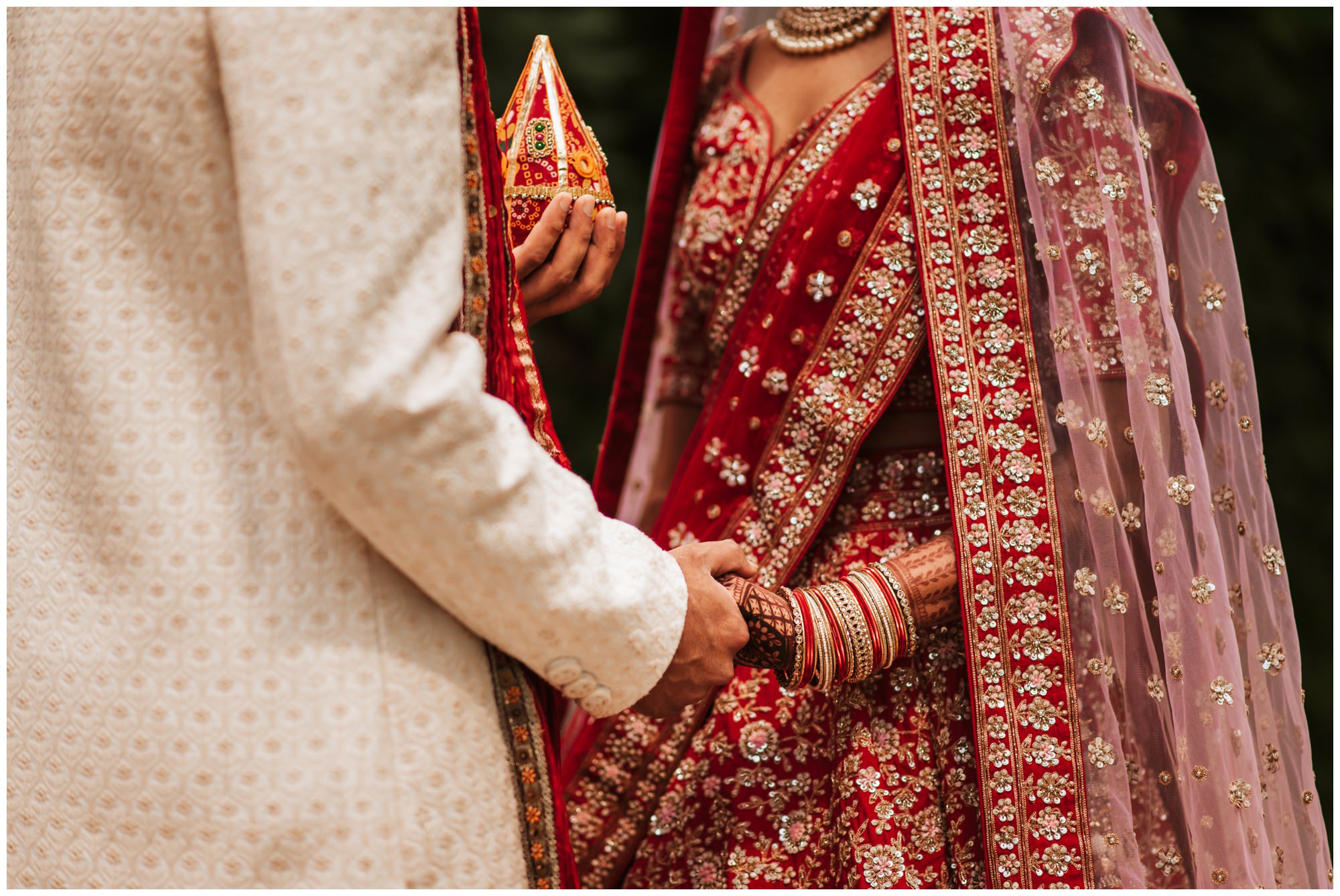 Indian wedding couple's portraits by The Adamkovi, Chicago
