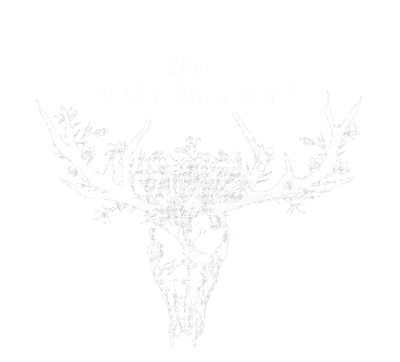 The Adamkovi